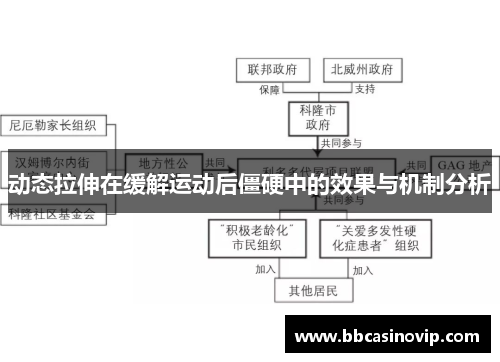 动态拉伸在缓解运动后僵硬中的效果与机制分析