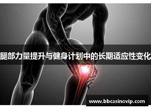 腿部力量提升与健身计划中的长期适应性变化 腿部力量提升与健身计划中的长期适应性变化